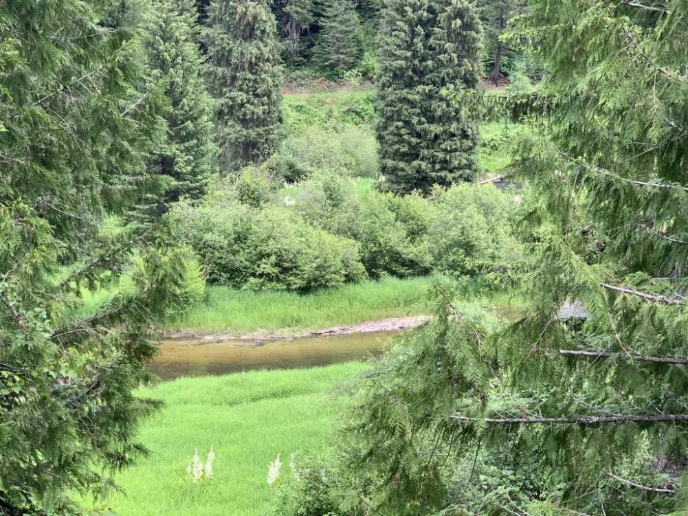 listing-5f0f7056f2e61-20200714213637911404000000-o.jpg