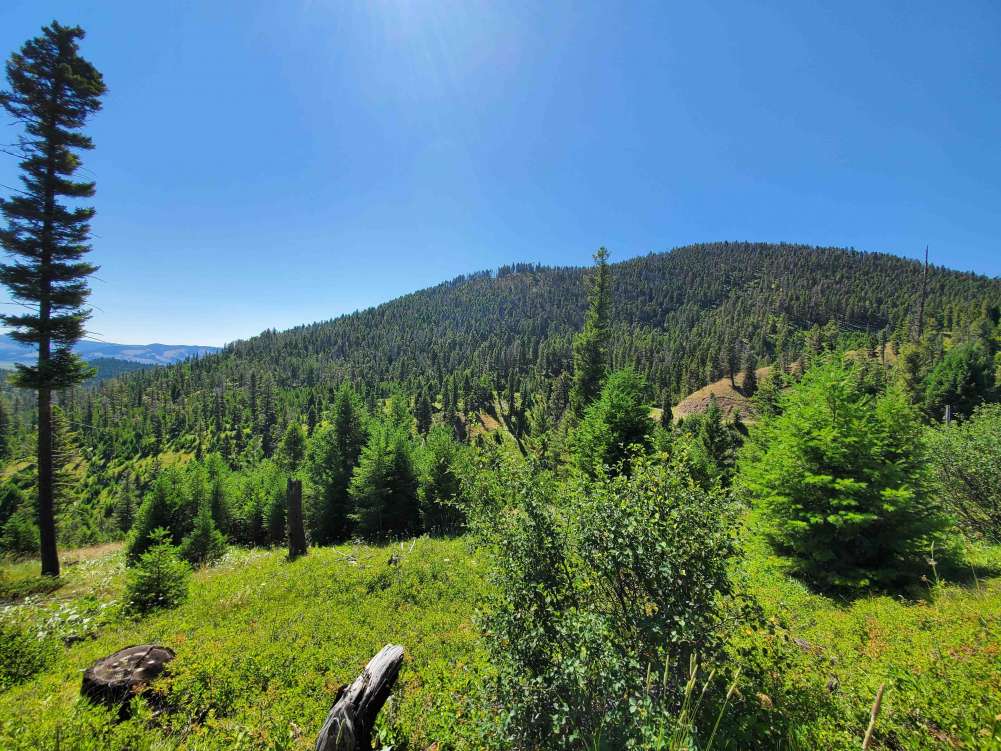 listing-5f35e746b88e1-RecreationOpportunitiesGalore.jpg