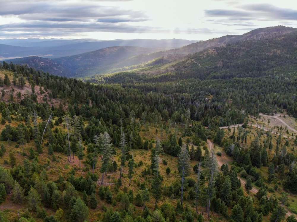 listing-5f4ff1c1be733-drone_1.jpg