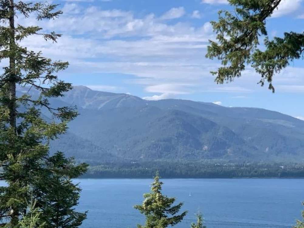 listing-5f610f0e967fe-1-ViewsofSchweitzer.jpg