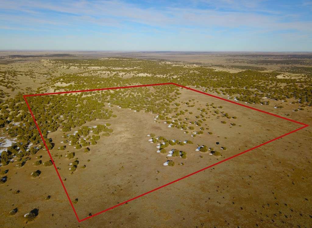 listing-67523740e2212-DJI_0544EDIT.JPG