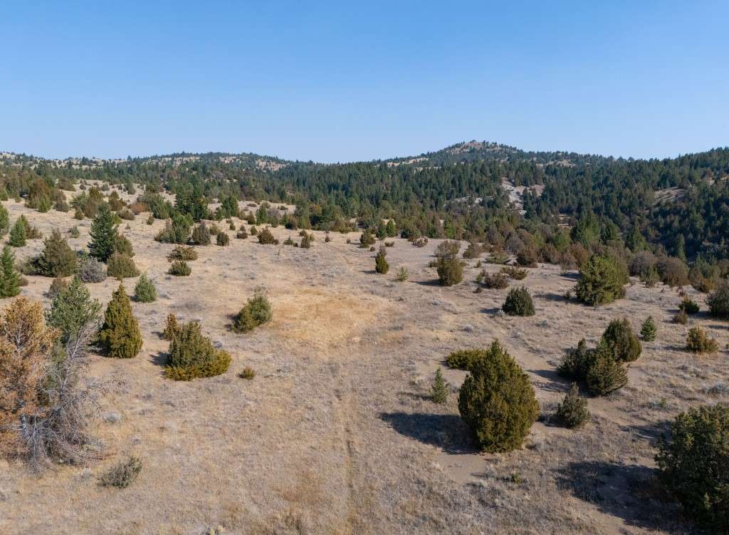 listing-677af9a66dd3e-120Acres-1.jpg