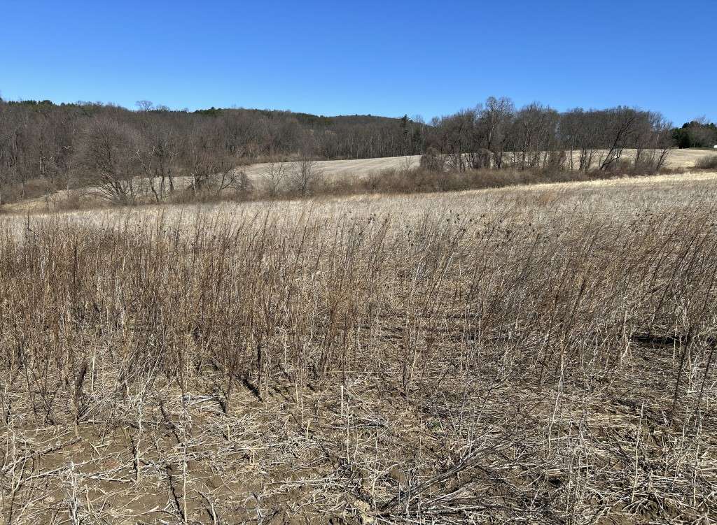 listing-67e18e3c74afe-FairfieldChurchRdJVTLand.JPG