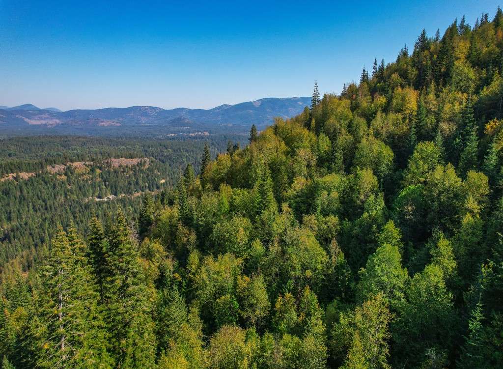 listing-67f057c7cb51f-PropertyAerialLookingNE.jpg