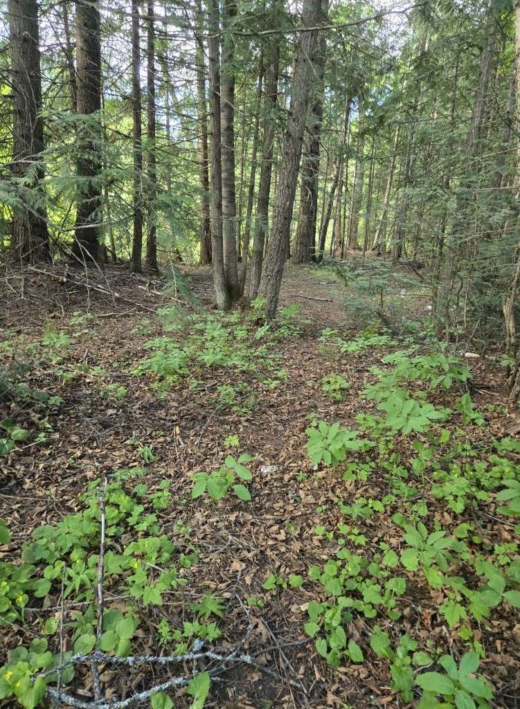 listing-684c9e117c556-20250601_172811.jpg