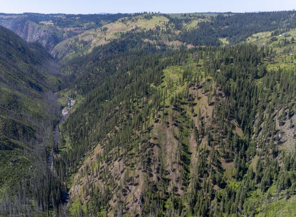 listing-68d6f632c06d0-listing-667ca2be15c55-LoloCreekJune20_1Compressed.jpg