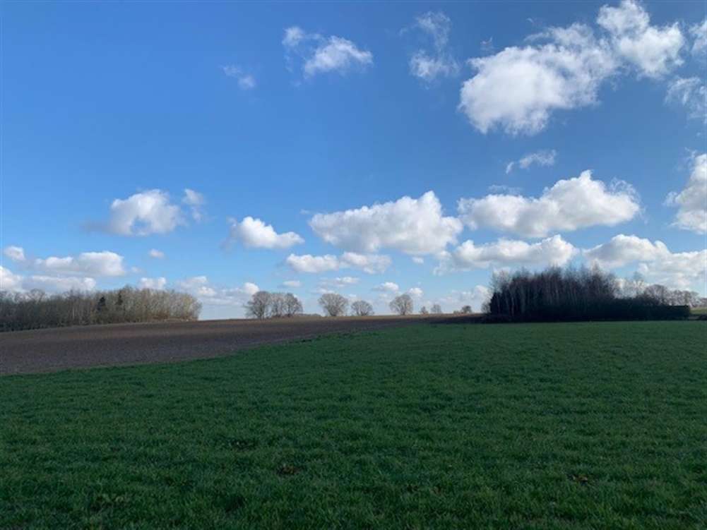 listing-68f12708e48e9-AgriculturalLand_WWHP_02.jpg