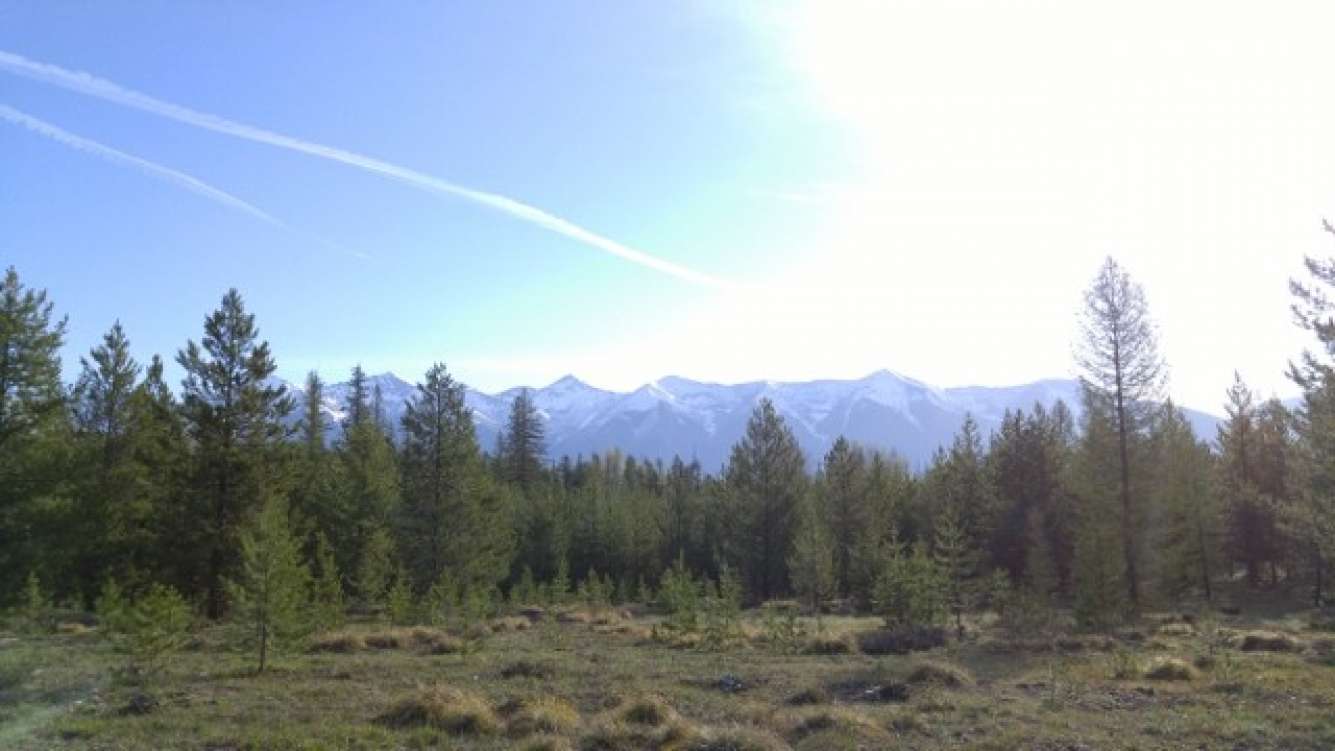 20160421_084423640x360.jpg