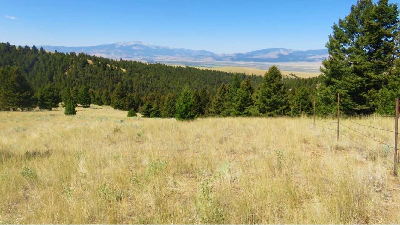PerkinsGulchRanch1.jpg
