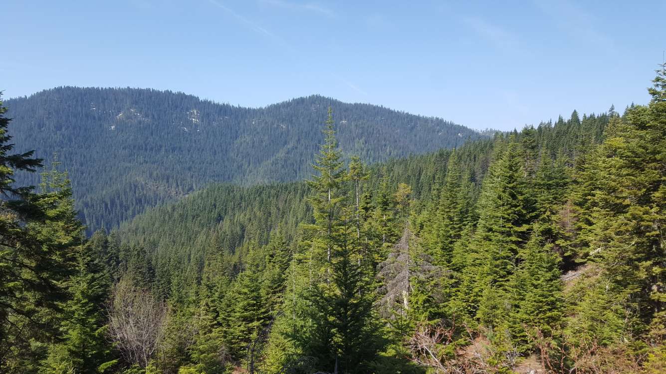 20180427_095943.jpg