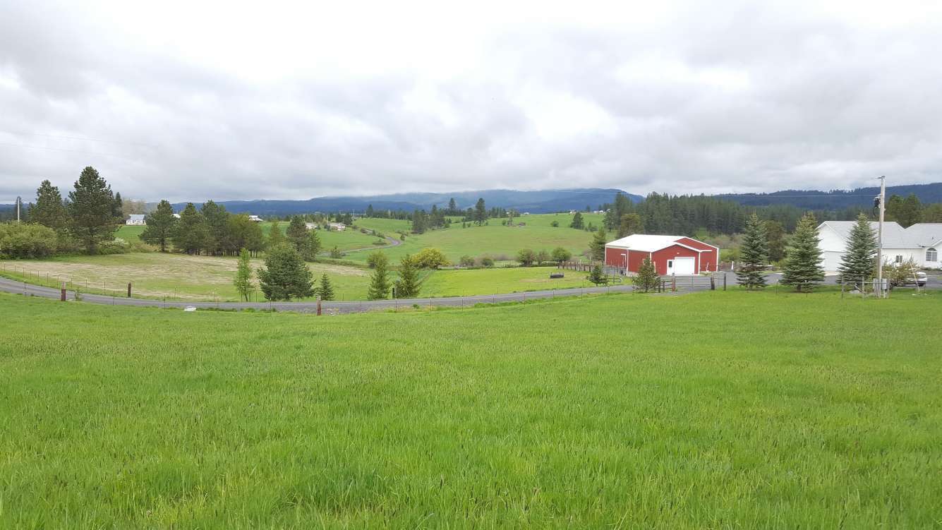 United States of America Idaho Latah Home with Acreage For Sale