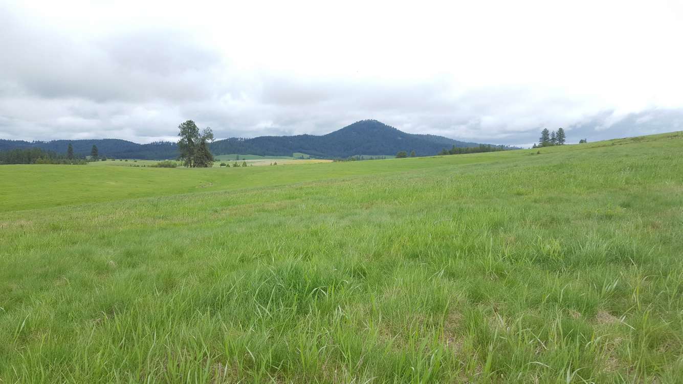 United States of America Idaho Latah Home with Acreage For Sale