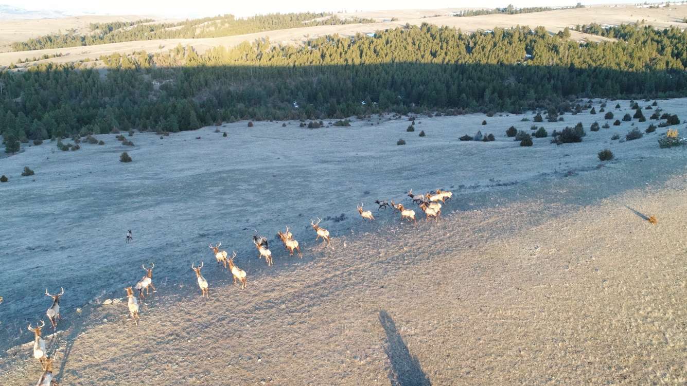 DJI_0101.jpg