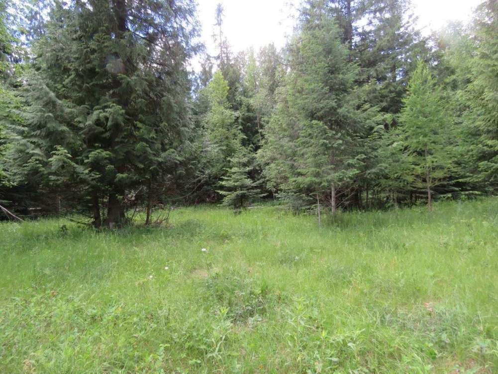 listing-5b3aa0182b7c2-21807114.jpg