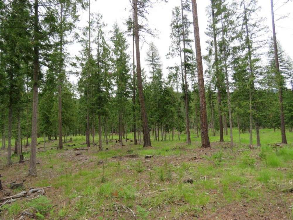 listing-5b3e6589dd590-21807268.jpg