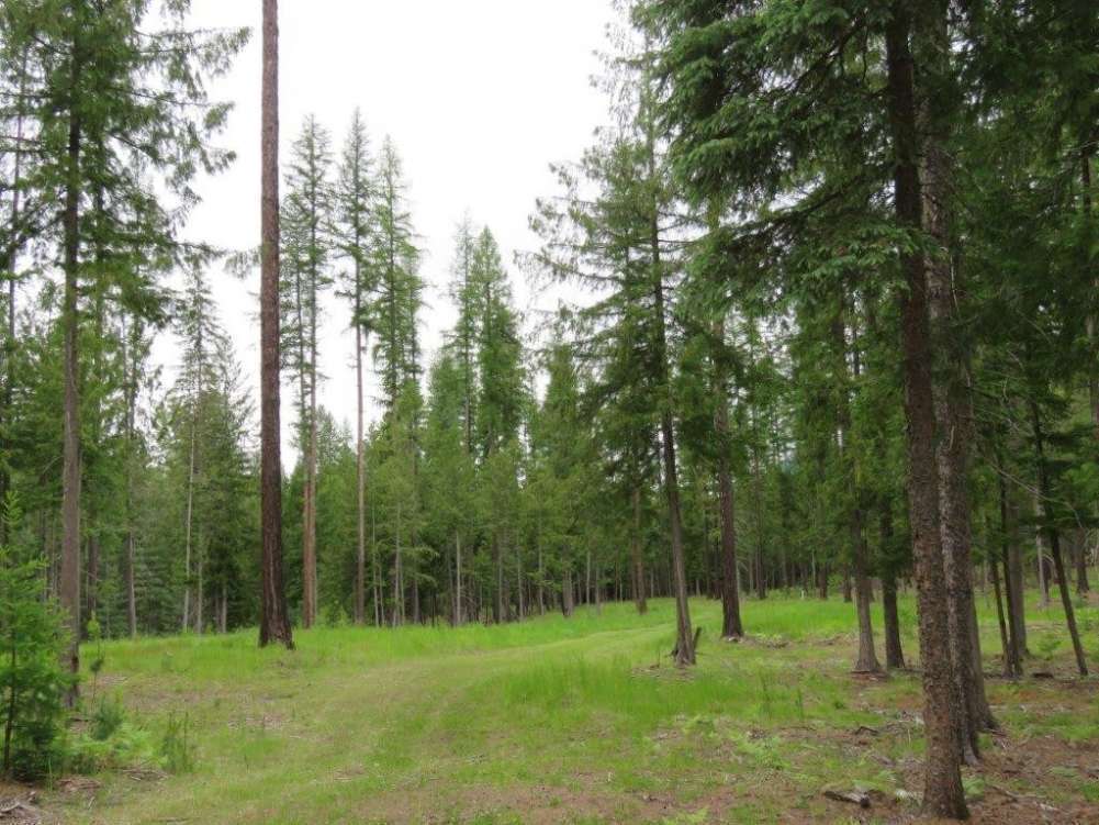 listing-5b3e6ba7725e2-21807274.jpg