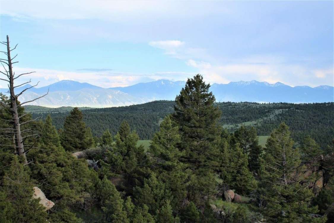 listing-5b3e87967d1b8-20180180.jpg
