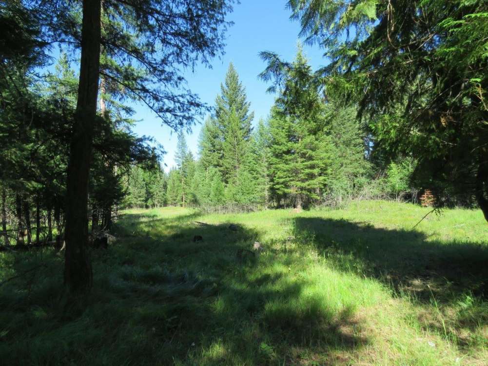 listing-5b4e579be70aa-21808911.jpg