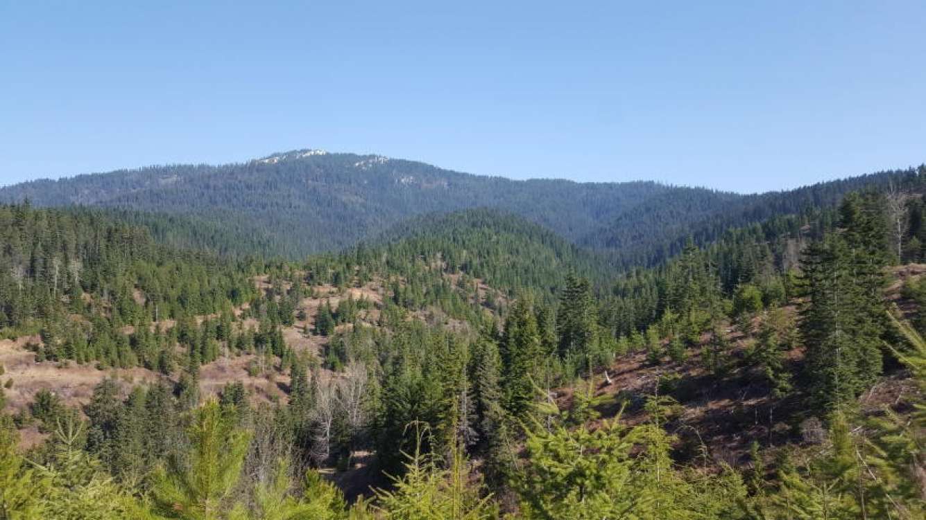 listing-5b5ceb36e4436-20180427214240847374000000-o.jpg