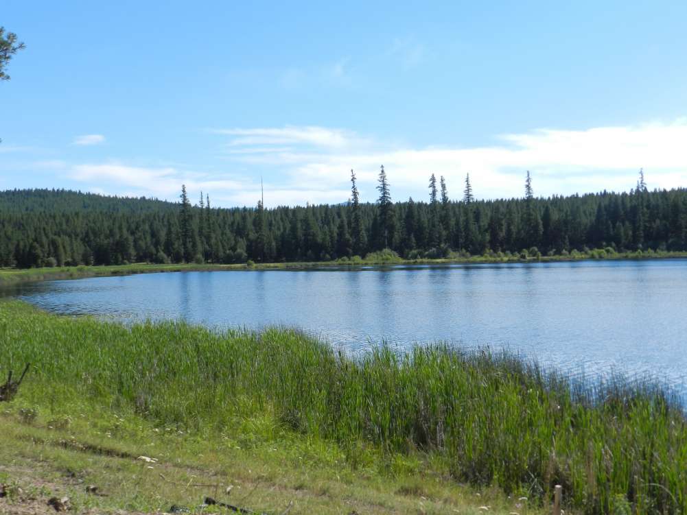 listing-5b7c90f48119b-DSCN0165.jpg
