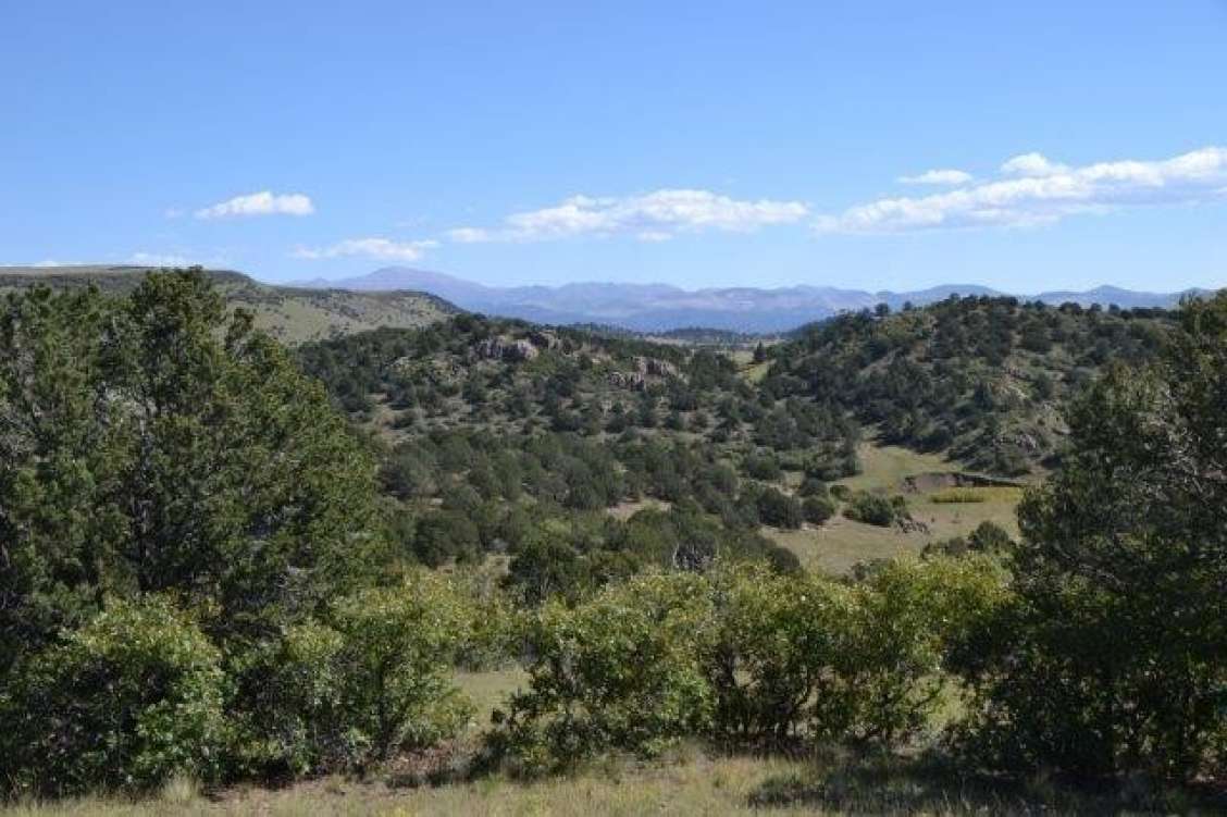 listing-5ba2a99e5708e-MtnSurround01.jpg