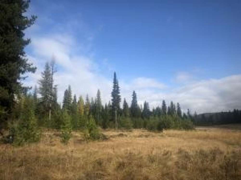 listing-5c2fd69494428-20181016211520511374000000.jpg