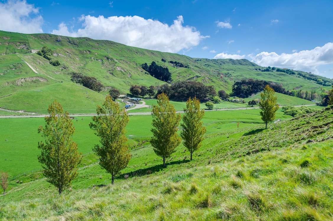 New Zealand, AgriculturalRecreationalVacant Land For Sale