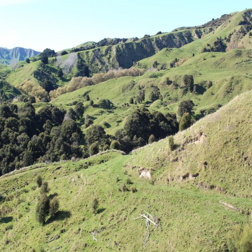 New Zealand, AgriculturalVacant Land For Sale