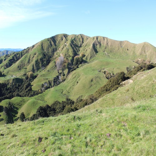 New Zealand, Agricultural-Vacant Land For Sale