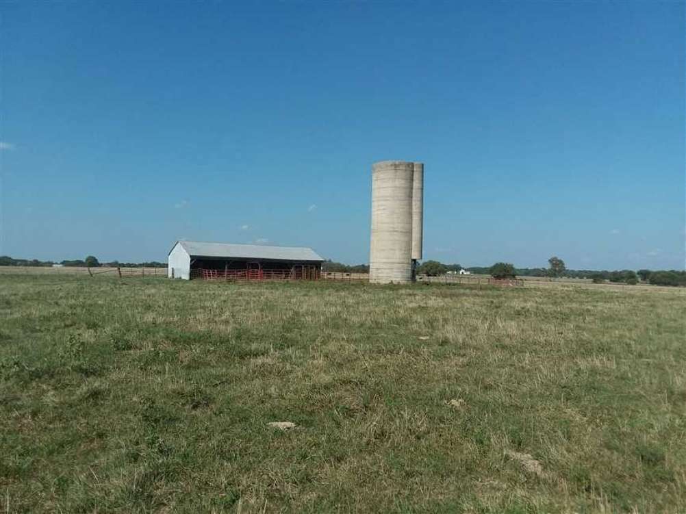 231645__1203d890-7974-4e19-ac63-e06e14f3659c.jpg