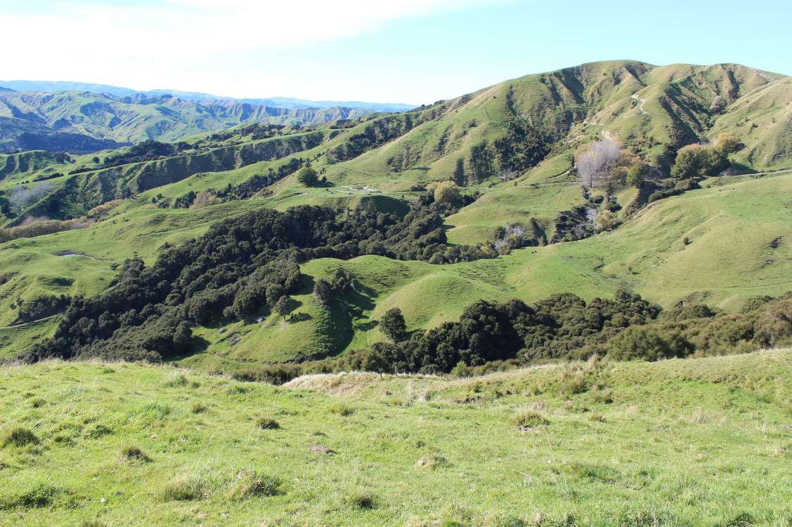 New Zealand, AgriculturalVacant Land For Sale