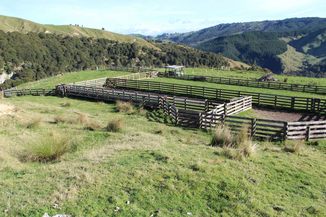 New Zealand, AgriculturalVacant Land For Sale