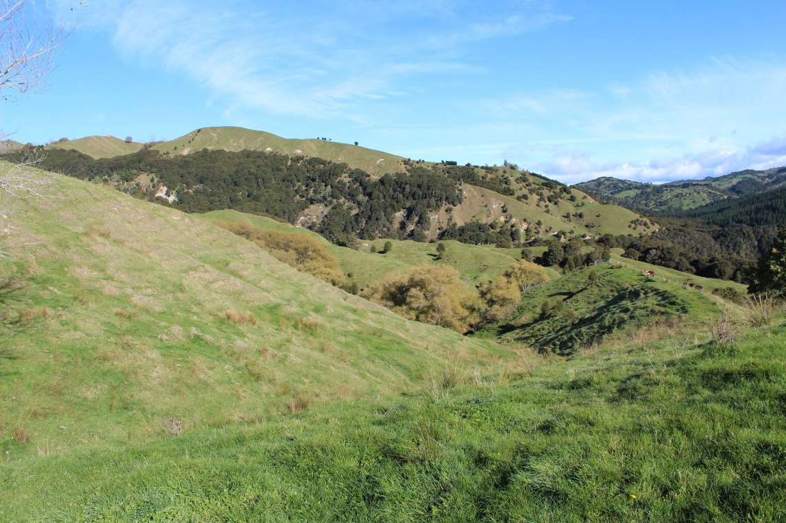 New Zealand, AgriculturalVacant Land For Sale