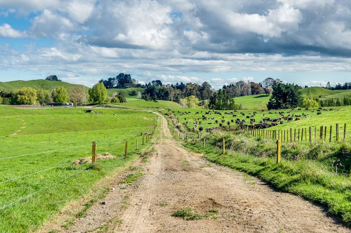 New Zealand, AgriculturalHunting PropertyRecreational For Sale