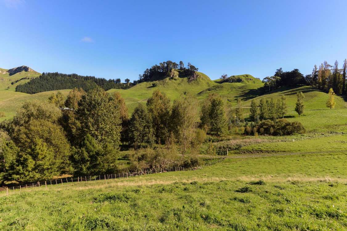 New Zealand, Home with Acreage-Recreational For Sale