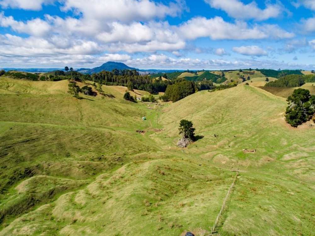 New Zealand, Vacant Land For Sale