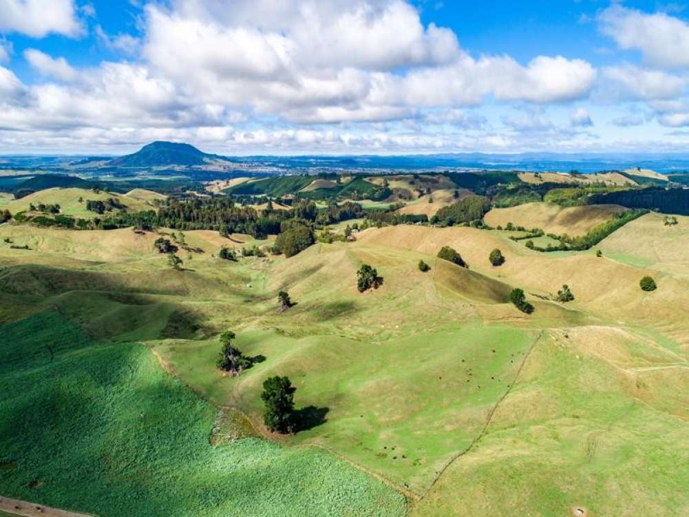 New Zealand, Vacant Land For Sale