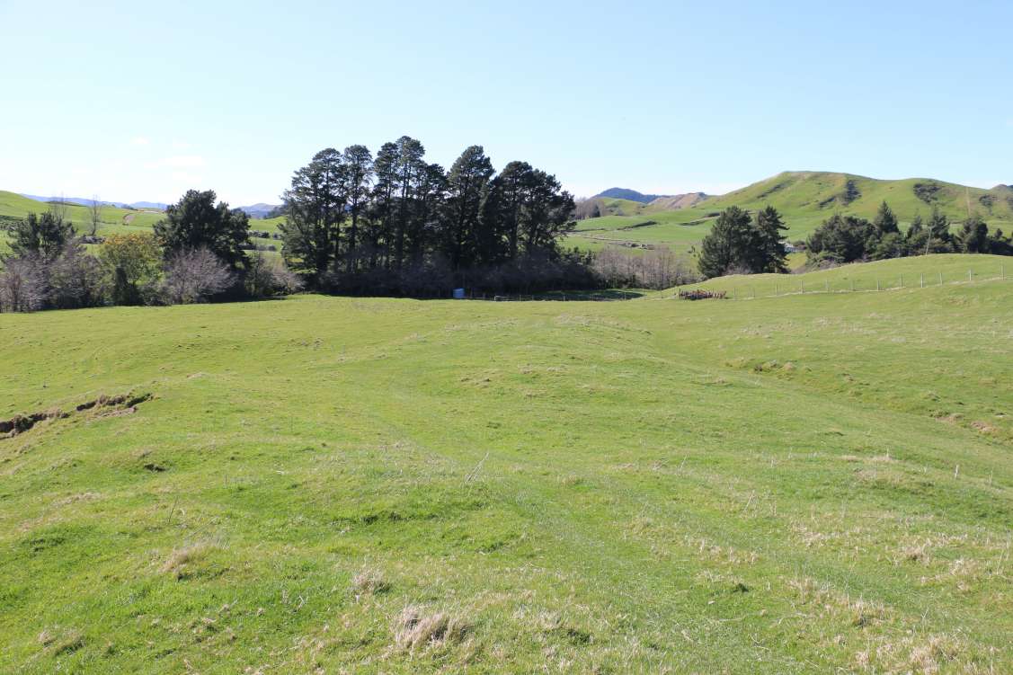 New Zealand, Vacant Land For Sale