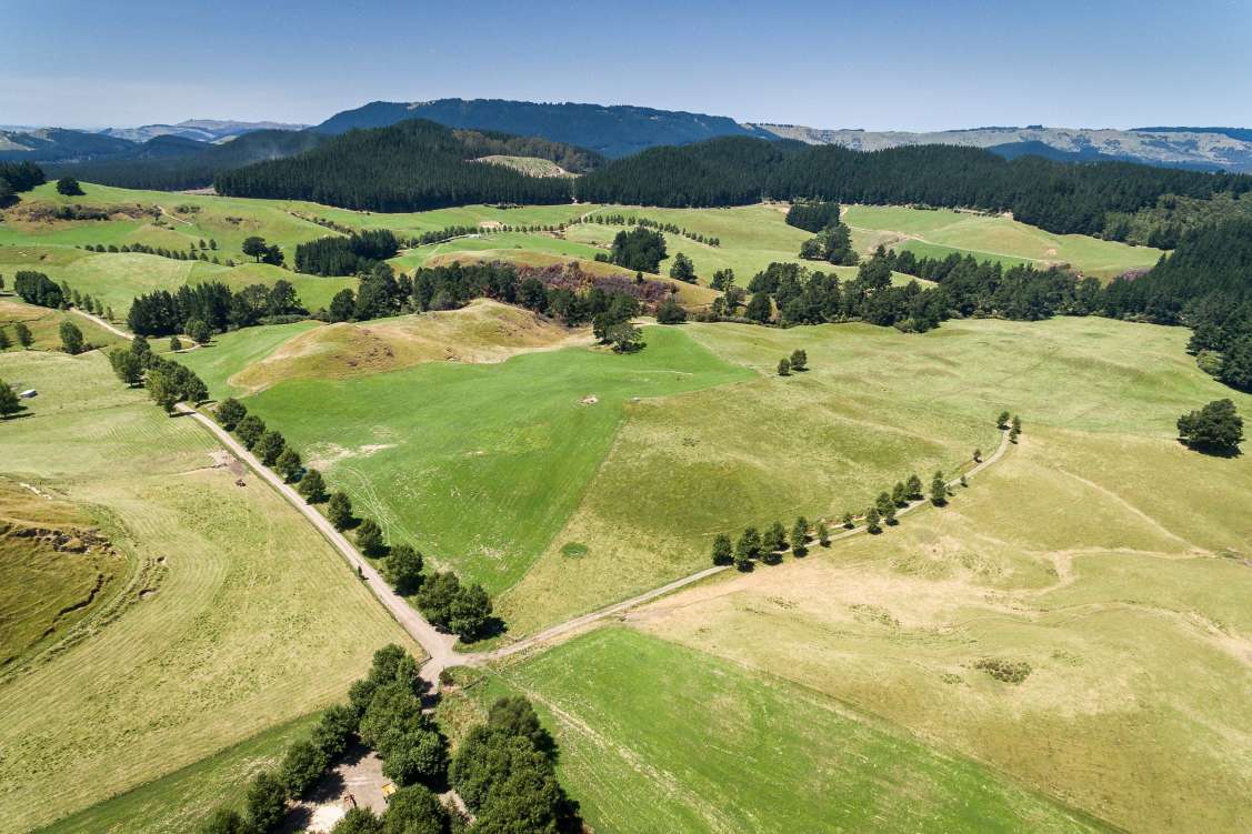 New Zealand, Agricultural For Sale