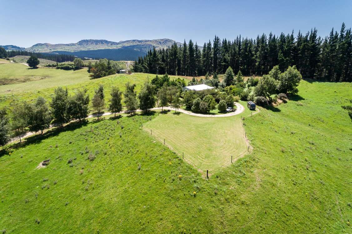 New Zealand, Agricultural For Sale