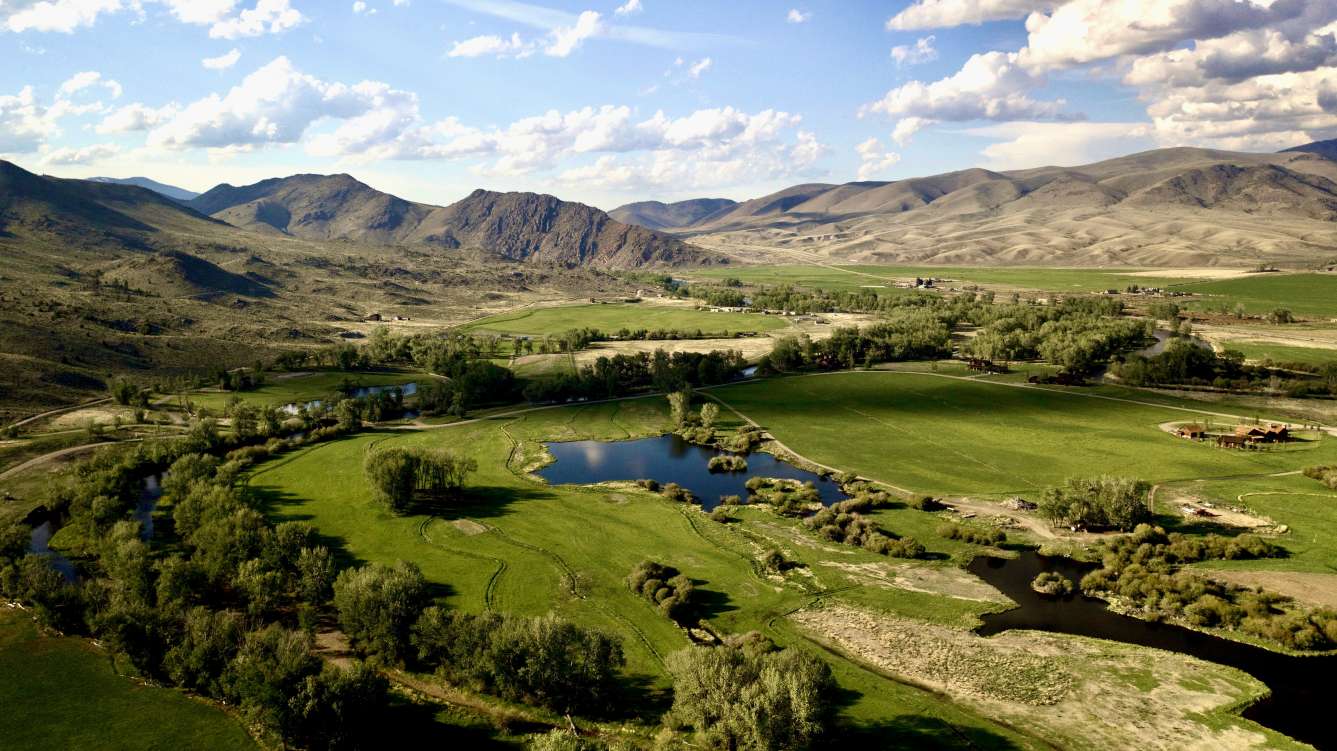 United States of America, Montana, Beaverhead, Agricultural-Horse