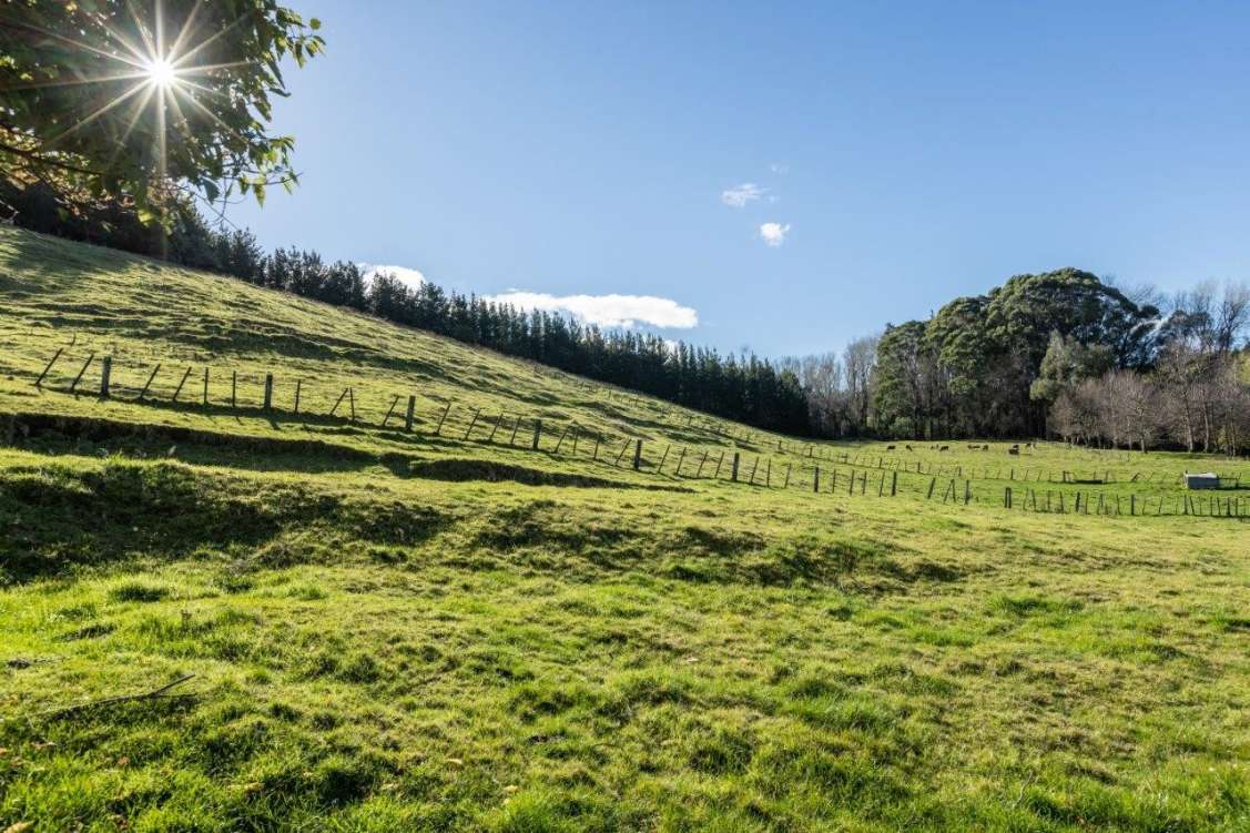 New Zealand, AgriculturalHomeHome with Acreage For Sale