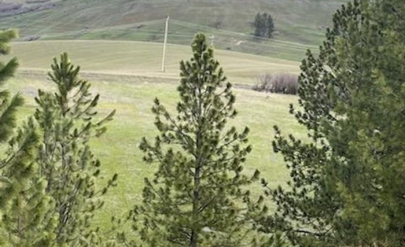 Home site with a River View