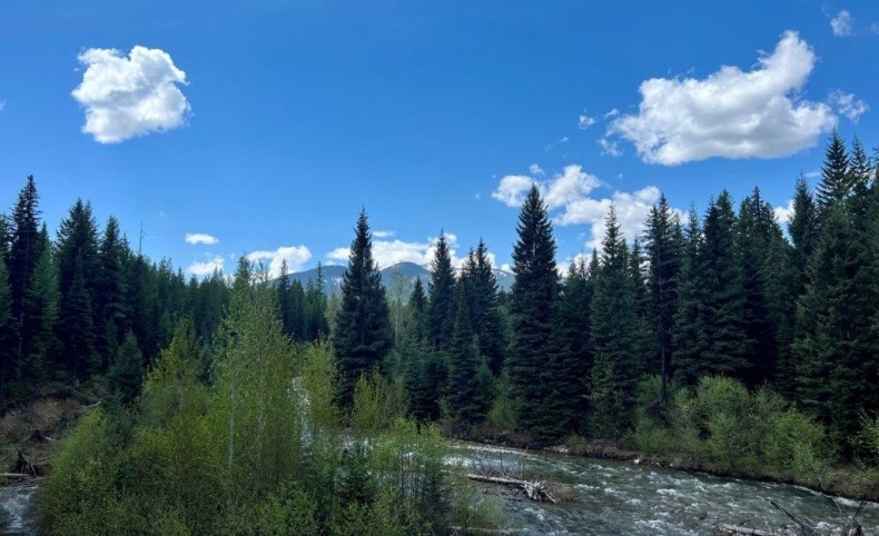 Wilderness Waters on Elk Creek