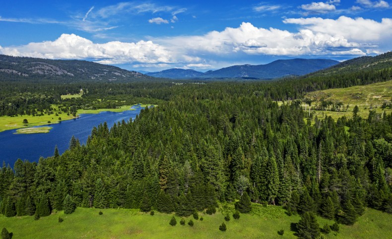 Parcel 2 Wildberry Ln