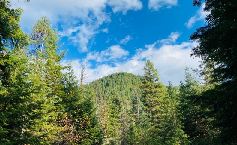 Secluded & Private Pilgrim Creek