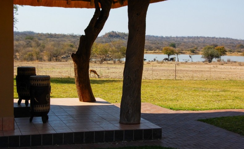 Traditional South African Game Farm