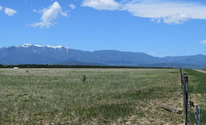 Mountainview Meadow