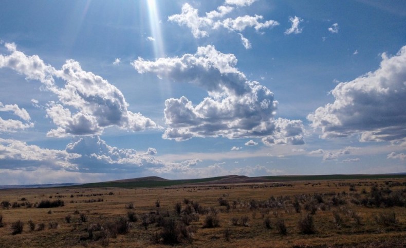 Wheat Basin Road