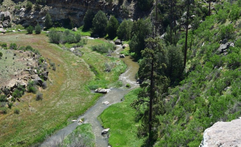 Point Pasture Ranch
